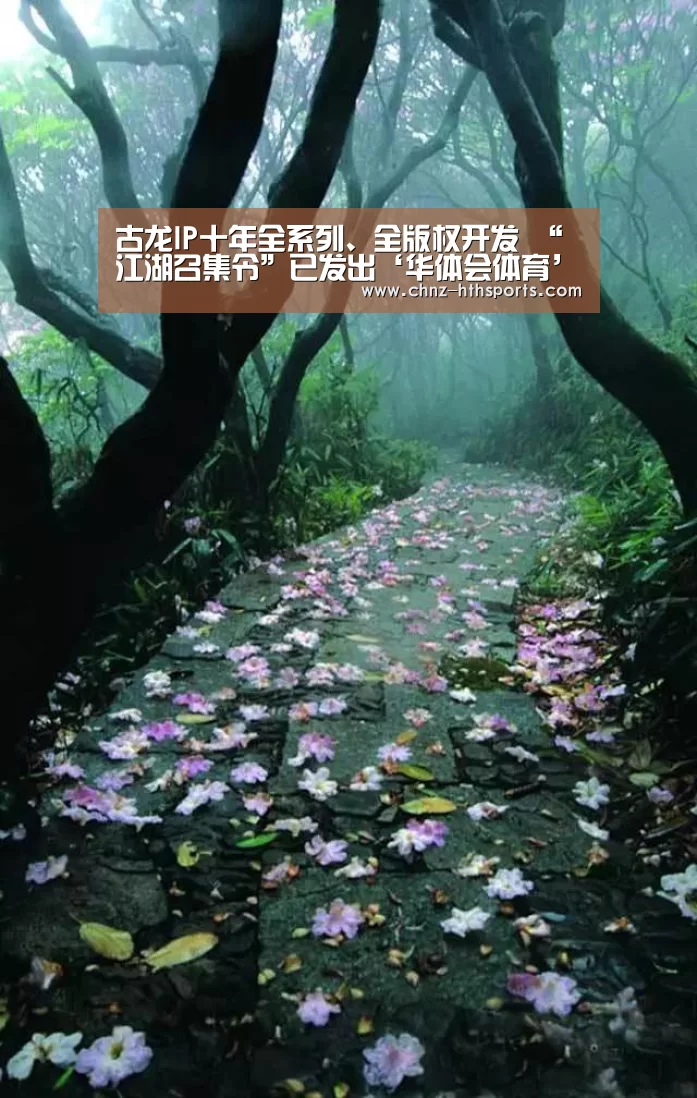 华体会体育