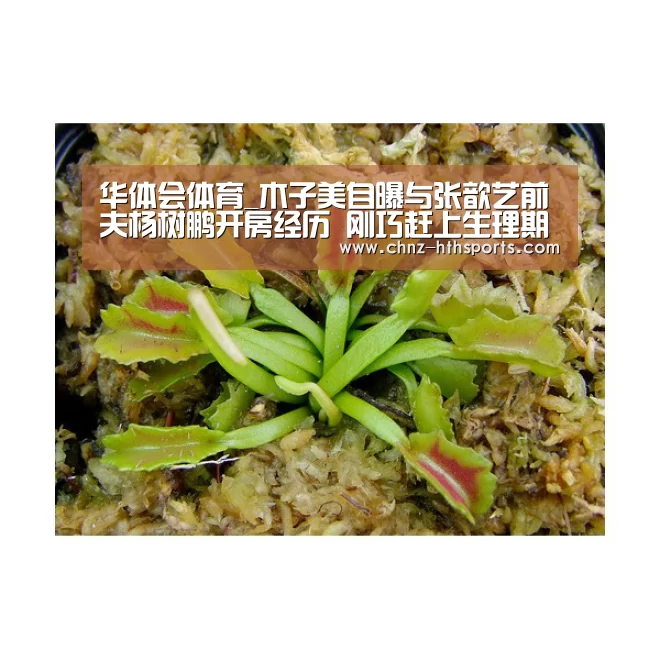 华体会体育_木子美自曝与张歆艺前夫杨树鹏开房经历 刚巧赶上生理期(图3) 华体会体育